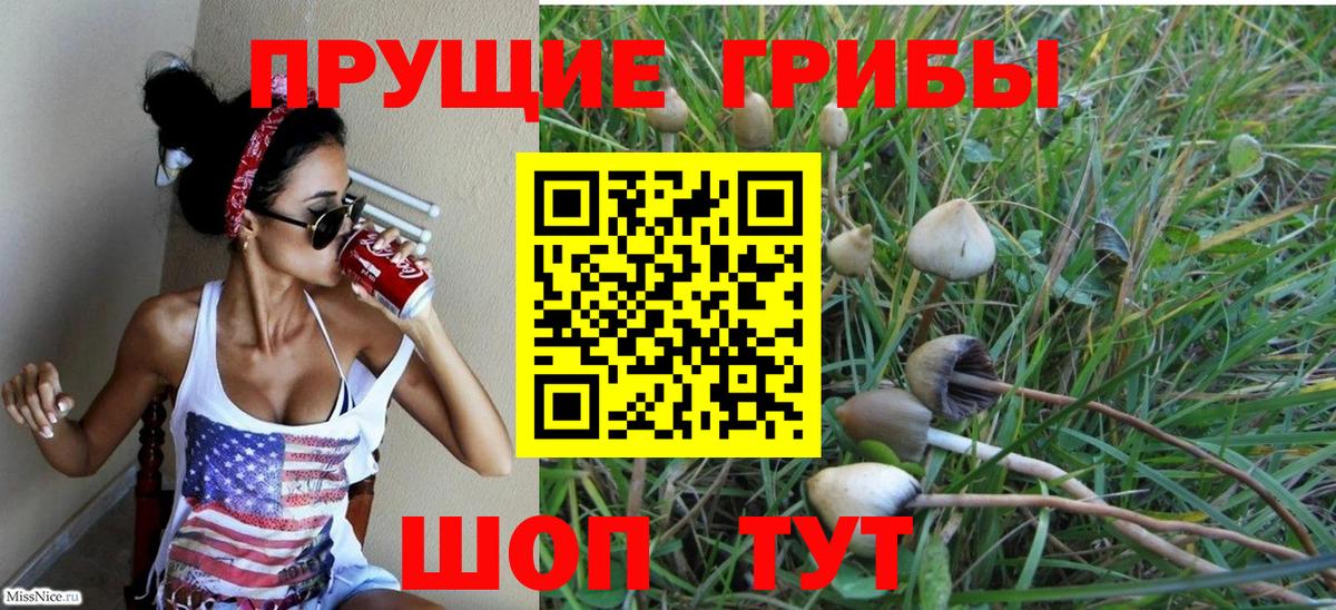 Галлюциногенные грибы GOLDEN TEACHER  Вход с VPN  наркота  Махачкала 